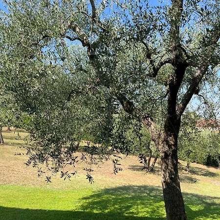 Pietrosa Villa *
